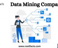 Data Mining Company - 1