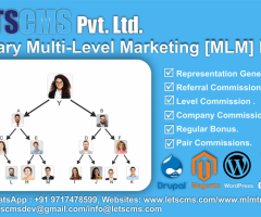 Binary MLM E-Pin Plan for Drupal USA | Binary Multi-Level Marketing Plan ECommerce Software