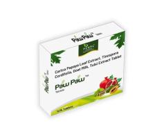 Support Digestive Health with Carica Papaya Leaf Extract Tablets