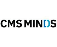 Reliable Web Development Solutions in Raleigh, NC – Partner with cmsMinds