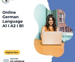 Comprehensive Language Courses Tailored for Success