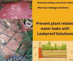 Go Green: Prevent Plant related water leakages - 1