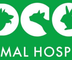 Best Pet Hospital in Gurgaon - DCC Animal Hospital