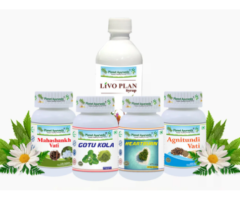 Ayurvedic Treatment Of Liver Hemangioma - LIVO-HG Care Pack By Planet Ayurveda - 1