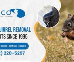 Pest Control Cost NJ