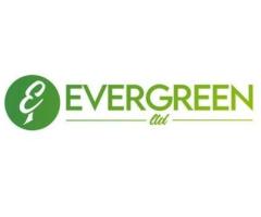 Calgary Tree Planting Services - Evergreen Ltd