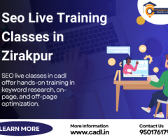 SEO Live Training Classes in Zirakpur