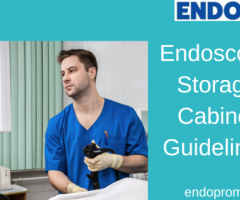 Ensuring Safety With Endoscope Storage Cabinets Guidelines