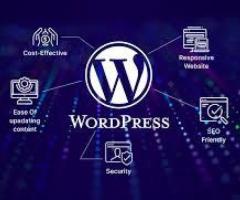 Hire WordPress Development Services in India for Best Performence