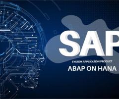 SAP ABAP on HANA Online Training in Delhi.