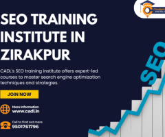 Seo Training Institute In Zirakpur