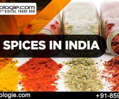 Buy Spices in India - 1