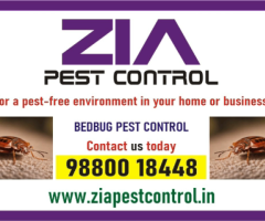 Bedbugs services near me  | Zia Pest control | Upto 40% Off | 100% safe | 2086