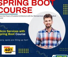 Spring Boot Certification Training Course in Electronic City Bangalore