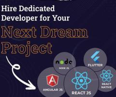 Hire Dedicated ReactJS Developers on Remote & Flexible Engagement Models - 1