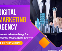 Digital Amy - Best SEO Agency Ajman | Best Digital Marketing Agency Abu Dhabi