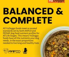 Gently Cooked and Freeze-Dried for Dogs - Nutritious & Delicious: Yodoggo