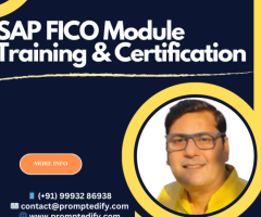 SAP FICO Training & Certifications in South Africa at Prompt Edify