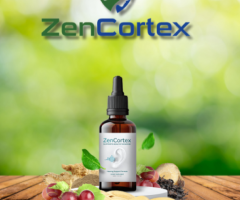 ZenCortex