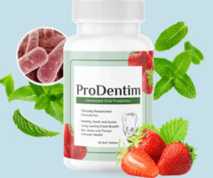 ProDentim: Your Partner in Dental Wellness