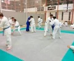 JTR Jujutsu International: The Best Institute for Modern Japanese Martial Arts