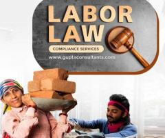 Expert Labour Laws Licensing Services for Complete Compliance