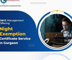 Professional Night Exemption Services for Your Business Needs