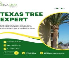 Texas Tree Expert: Professional Tree Care and Maintenance Services