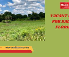 Affordable Vacant Land in Florida