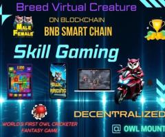 OWL MOUNT GOLDEN BLOCKCHAIN BREEDING GAME - 1