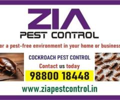 Cockroach Pest Control | Upto 50% Off | office and residence | 3034 - 1