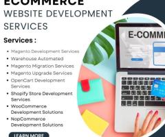 E Commerce Web Designing Company