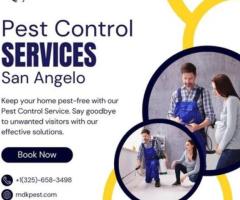 Reliable Pest Control Services in San Angelo - MDK Services - 1