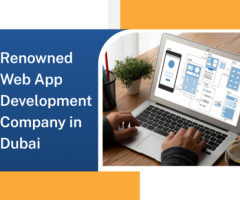 Amazing Web App Development Company in Dubai | ToXSL Technologies