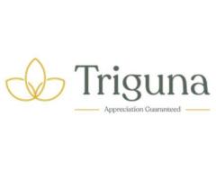 Triguna Projects – Budget-Friendly 2 & 3 BHK Flats in South India! Explore Now!