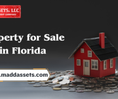 Perfect Property for Sale in Florida - 1