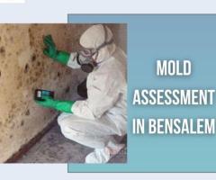 Expert Mold Assessment in Bensalem: Ensure a Healthy Living Space