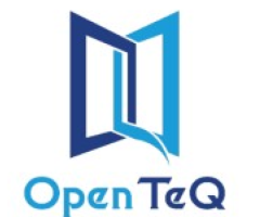 Premier Offshore Development Services | OpenTeQ