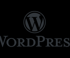 Hire WordPress Developer : Build Robust Web Solutions