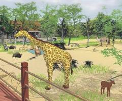 Zoo Animal Exhibit Design Consultant Services