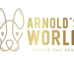 Arnold's World - 1