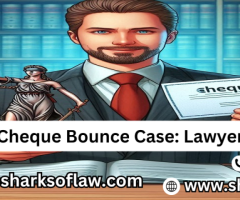 What To Do In Cheque Bounce Case: Advocate Legal Advice