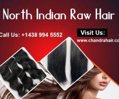 Buy North Indian Raw Hair Online – North Indian Hair - 1