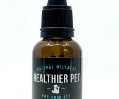 Cbd oil dosage for dogs - 1