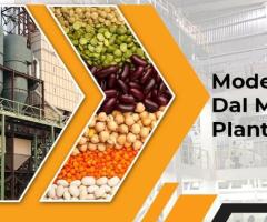 How to Establish a Dal Mill Plant to Expand Your Grocery Business?