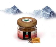 "Cordyceps Sinensis (Keeda Jadi Booti) – Elevate Your Health Naturally with Ayuryog - 1