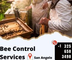 San Angelo’s Trusted Bee Control - MDK Services