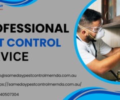 Keep Your Home Pest-Free: Trusted Pest Control in Mernda