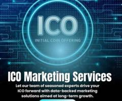 Sustainable ICO Marketing: Strategies for Long-Term Growth - 1