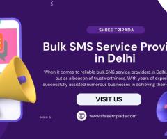 Bulk SMS Service Provider in Delhi - 1